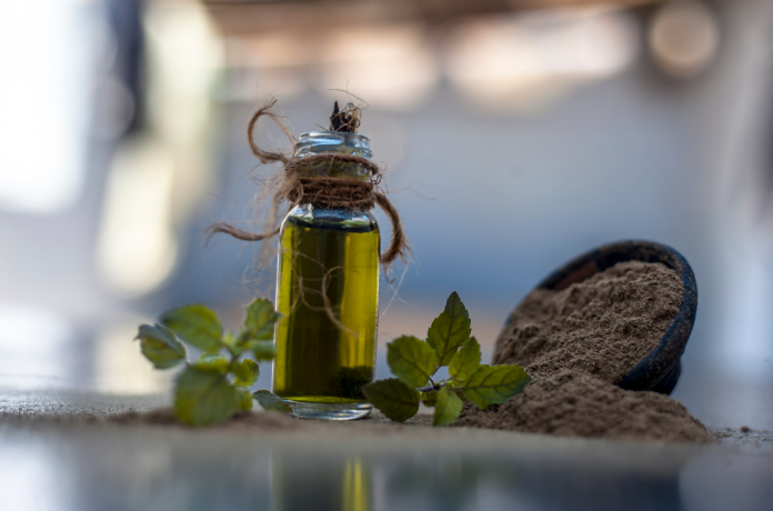 Herbs to Help You Concentrate Herbs to Help You Concentrate